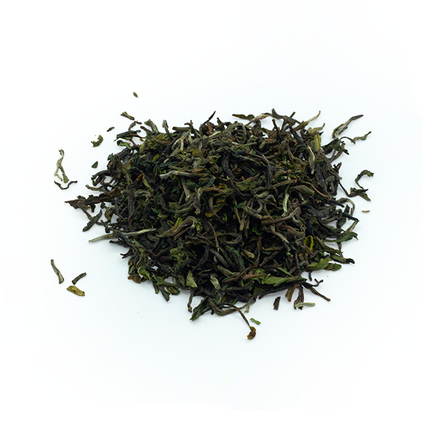 darjeeling marybong 2025